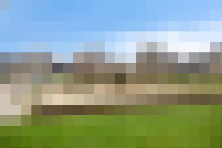 Koolzaadakker 8 Heino thumbnail 50