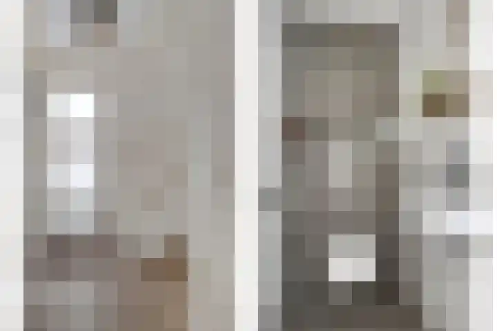 Koolzaadakker 8 Heino thumbnail 6