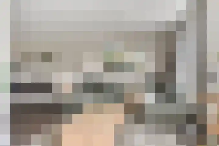 Koolzaadakker 9 Heino thumbnail 10