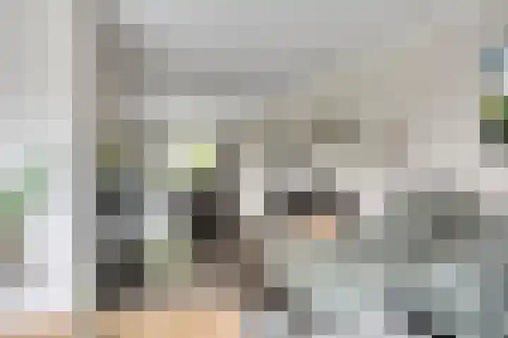 Koolzaadakker 9 Heino thumbnail 11