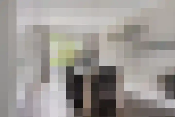 Koolzaadakker 9 Heino thumbnail 12
