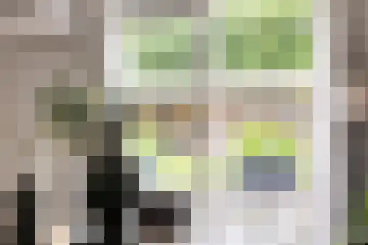 Koolzaadakker 9 Heino thumbnail 13
