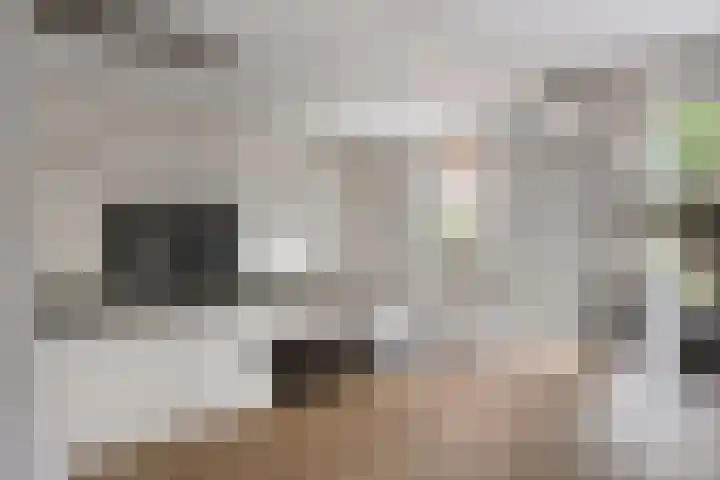 Koolzaadakker 9 Heino thumbnail 14
