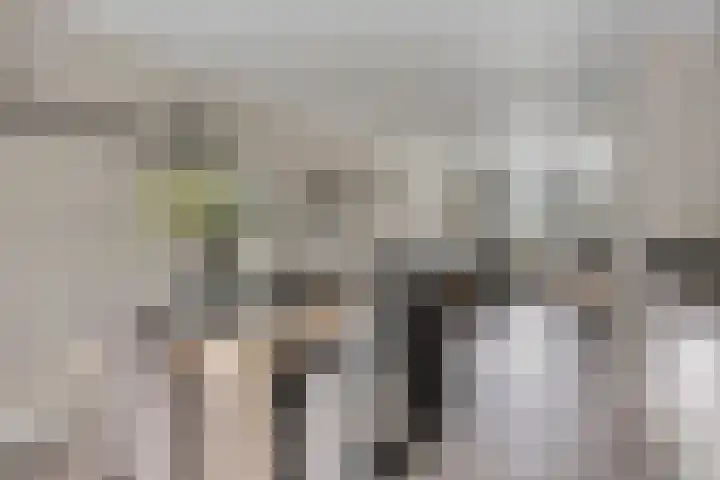 Koolzaadakker 9 Heino thumbnail 16