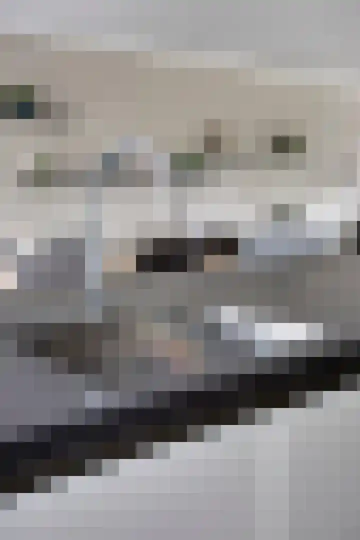 Koolzaadakker 9 Heino thumbnail 18