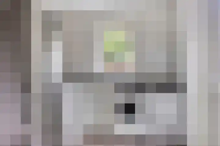Koolzaadakker 9 Heino thumbnail 21