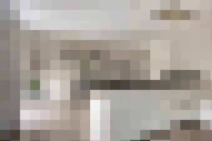 Koolzaadakker 9 Heino thumbnail 22