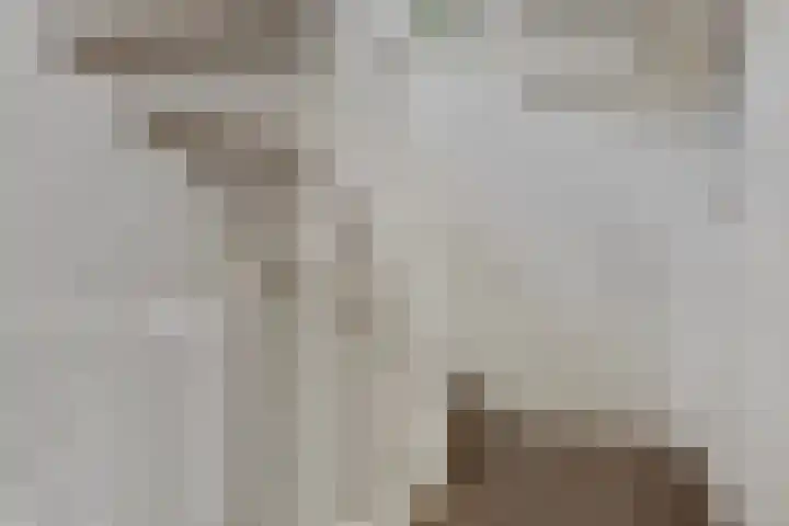 Koolzaadakker 9 Heino thumbnail 23