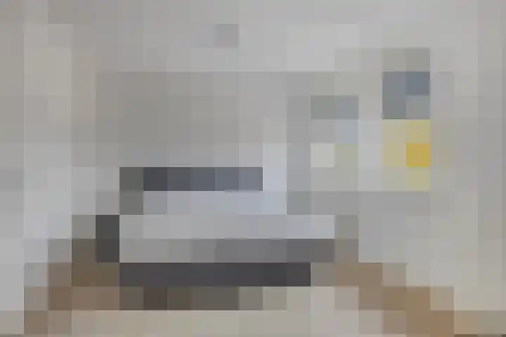Koolzaadakker 9 Heino thumbnail 25