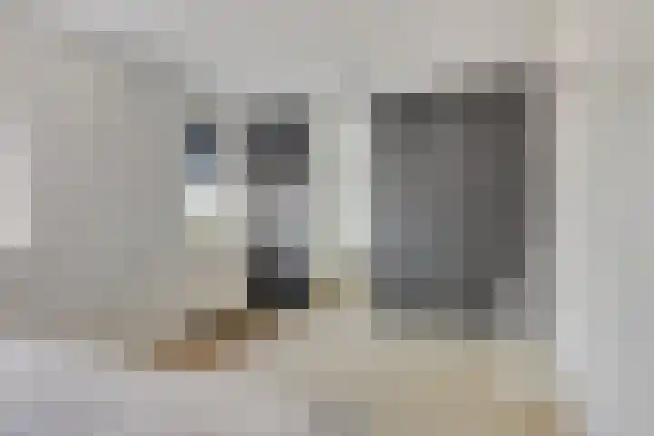 Koolzaadakker 9 Heino thumbnail 26