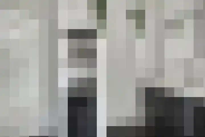 Koolzaadakker 9 Heino thumbnail 28