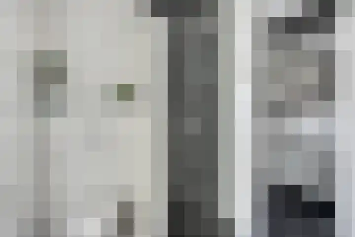 Koolzaadakker 9 Heino thumbnail 29