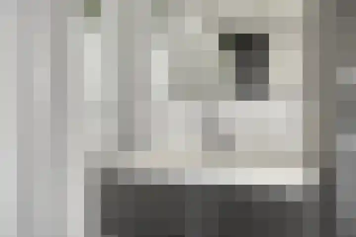 Koolzaadakker 9 Heino thumbnail 30