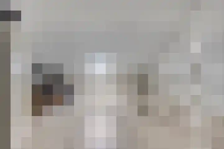 Koolzaadakker 9 Heino thumbnail 33