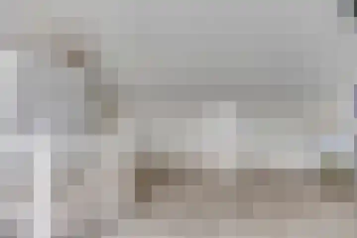 Koolzaadakker 9 Heino thumbnail 35