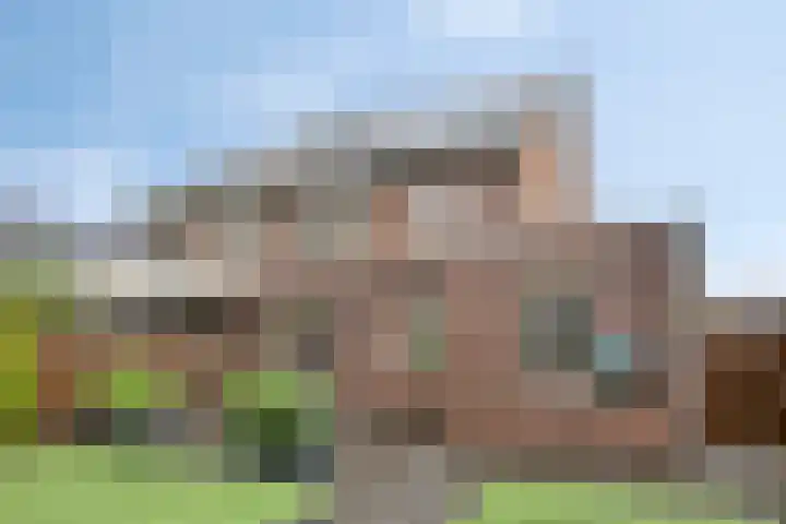 Koolzaadakker 9 Heino thumbnail 36