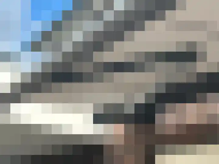 Koolzaadakker 9 Heino thumbnail 37