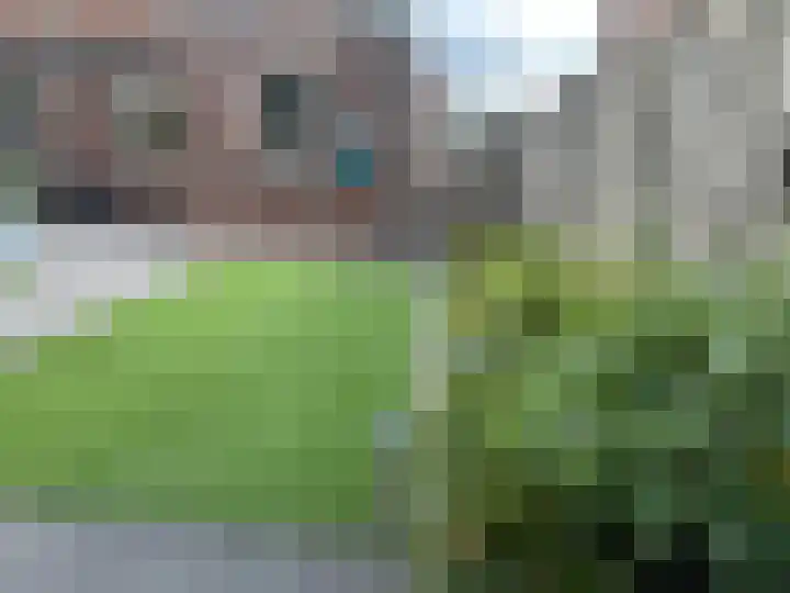 Koolzaadakker 9 Heino thumbnail 38