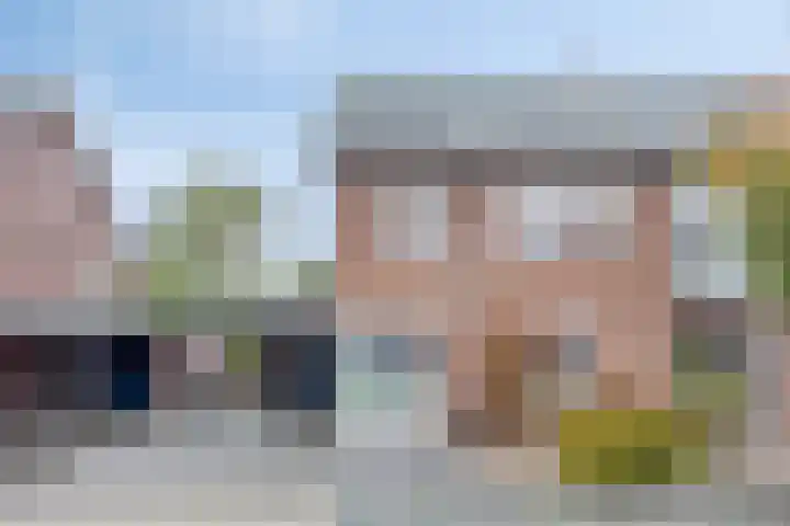 Koolzaadakker 9 Heino thumbnail 4