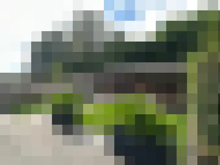 Koolzaadakker 9 Heino thumbnail 40