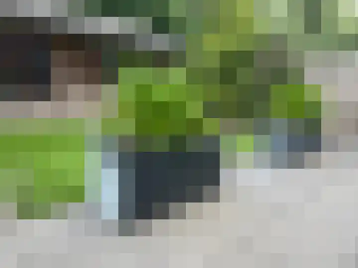 Koolzaadakker 9 Heino thumbnail 41
