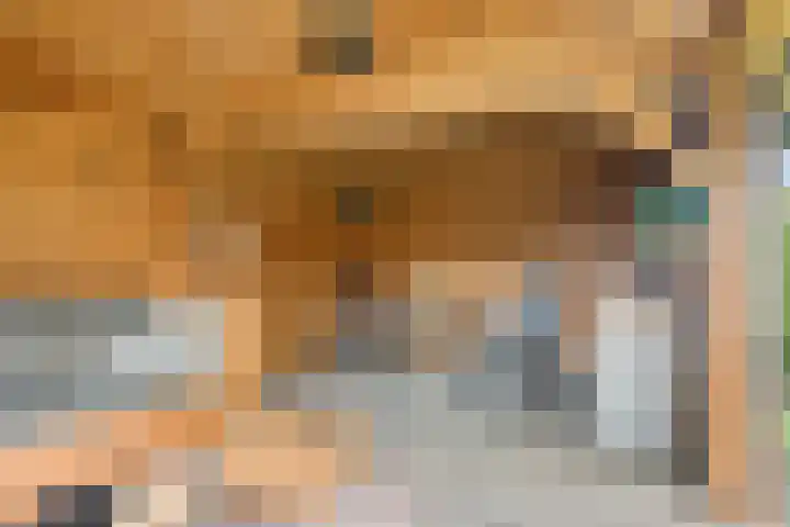 Koolzaadakker 9 Heino thumbnail 43
