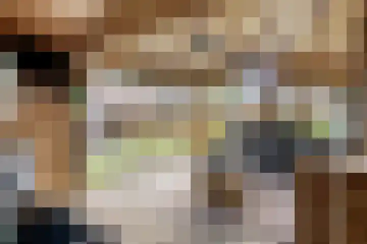 Koolzaadakker 9 Heino thumbnail 44