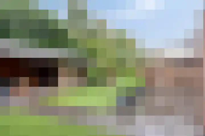 Koolzaadakker 9 Heino thumbnail 45