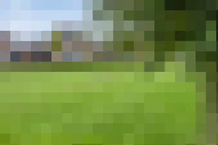 Koolzaadakker 9 Heino thumbnail 47