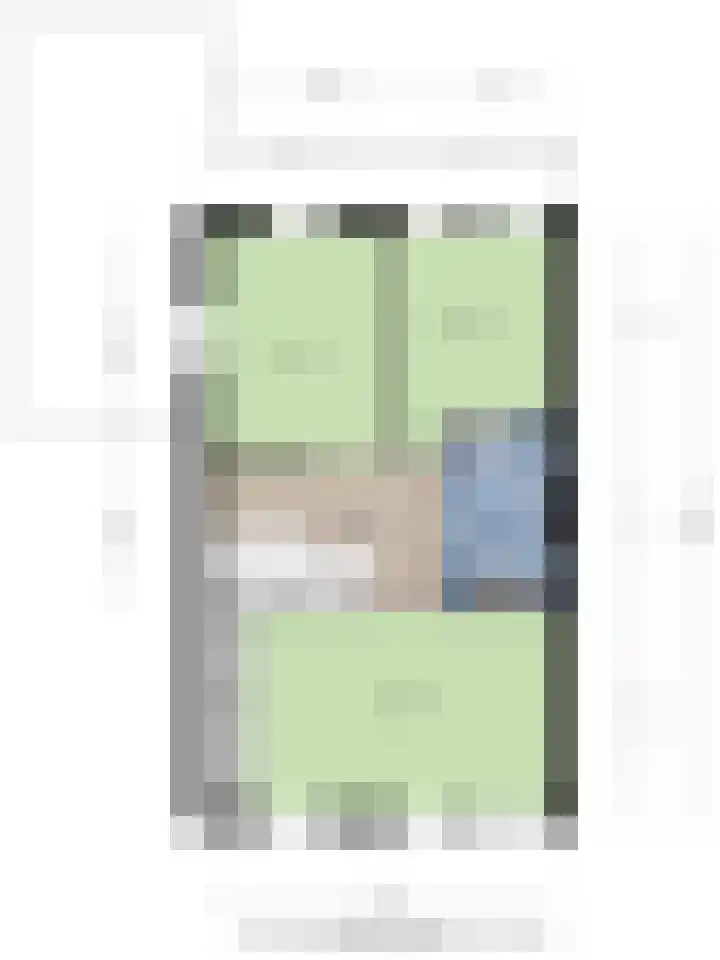 Koolzaadakker 9 Heino thumbnail 50