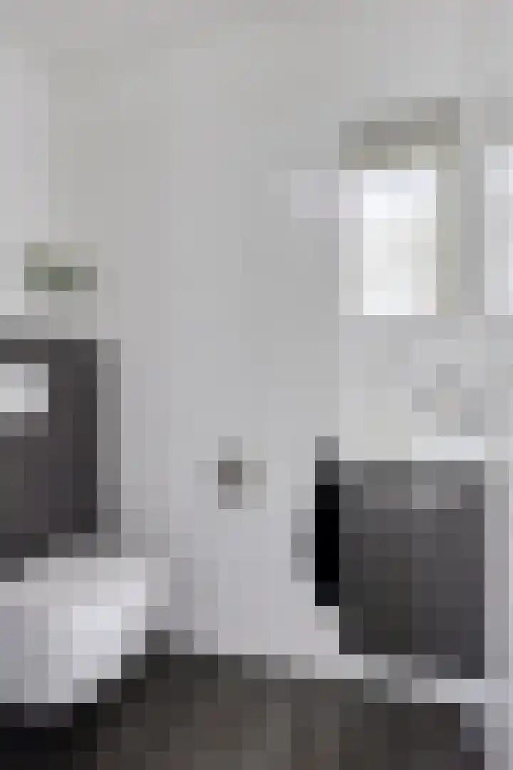 Koolzaadakker 9 Heino thumbnail 6