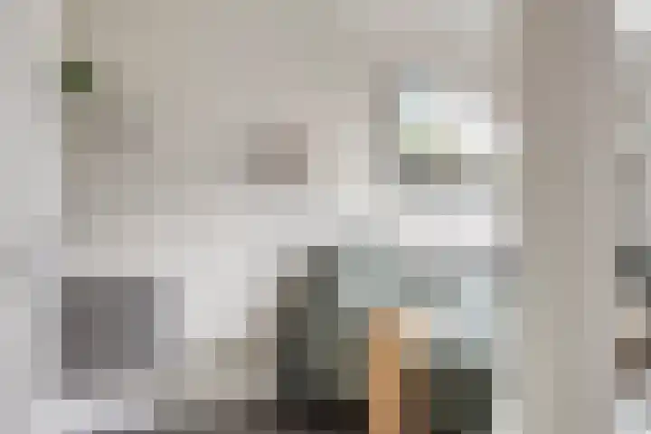 Koolzaadakker 9 Heino thumbnail 7