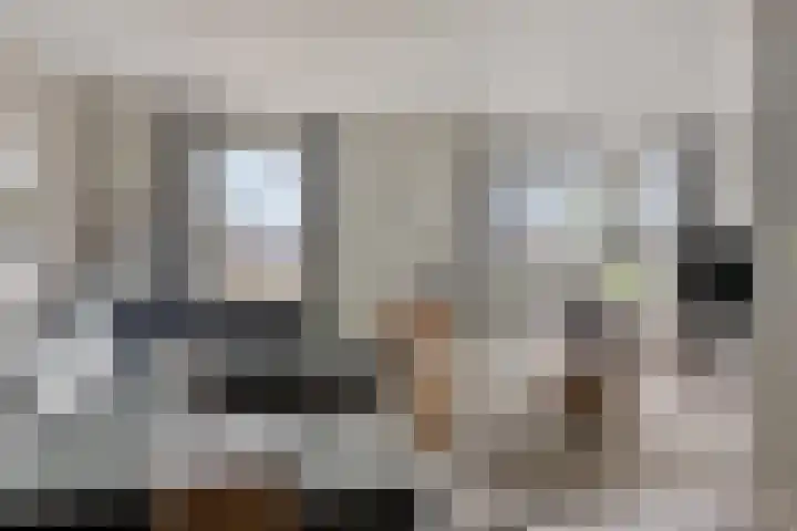 Koolzaadakker 9 Heino thumbnail 8