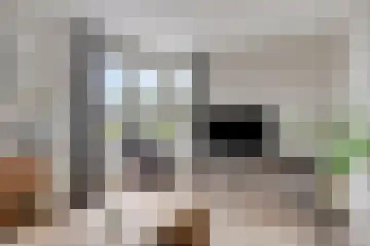 Koolzaadakker 9 Heino thumbnail 9