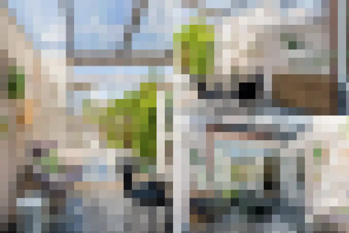 Koolzaaderf 30 Diemen thumbnail 13