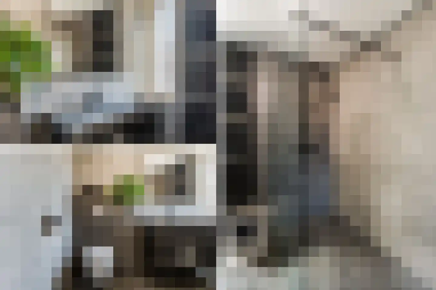 Koolzaaderf 30 Diemen thumbnail 31