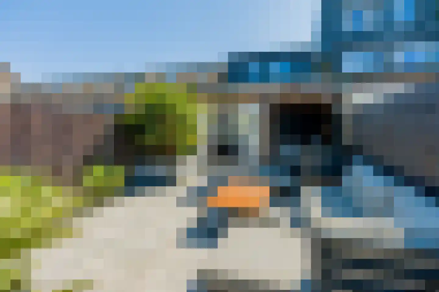 Koolzaaderf 30 Diemen thumbnail 32