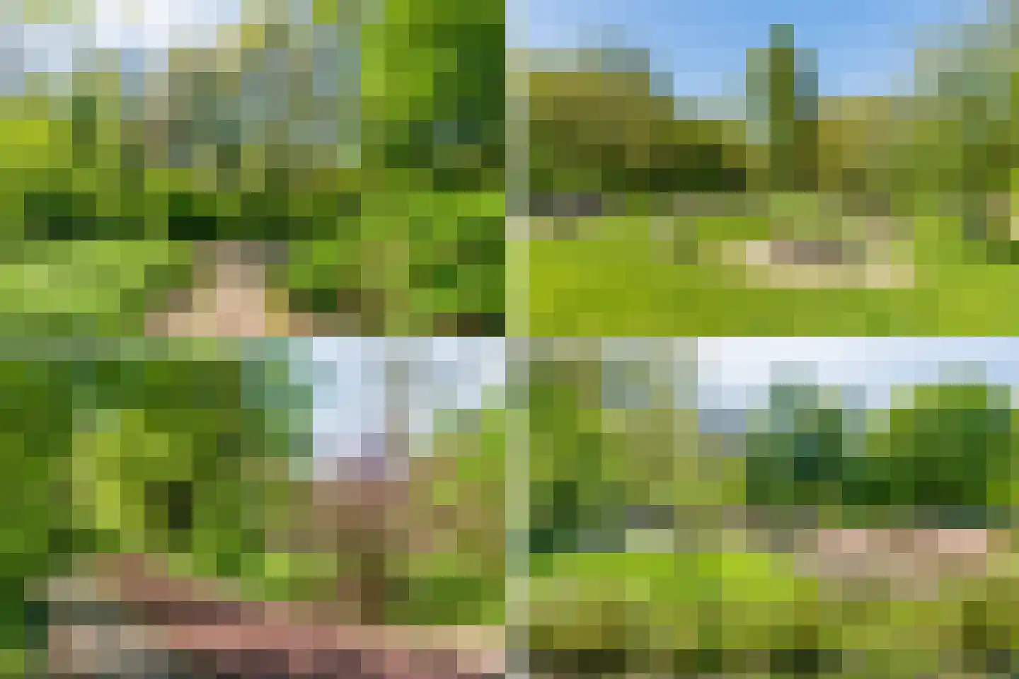 Koolzaaderf 30 Diemen thumbnail 42