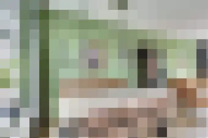 Koolzaadhof 105 Biddinghuizen thumbnail 12