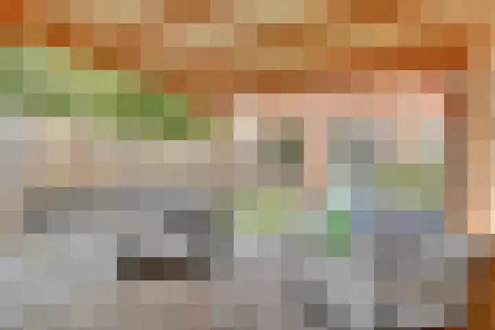 Koolzaadhof 105 Biddinghuizen thumbnail 33