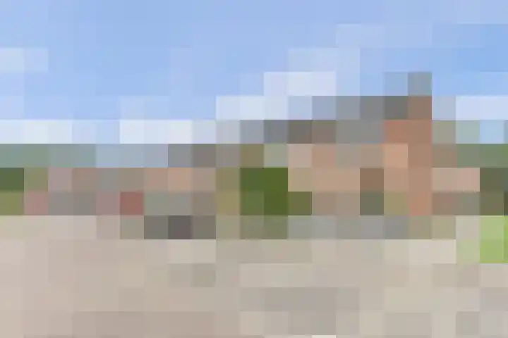Koolzaadhof 105 Biddinghuizen thumbnail 39