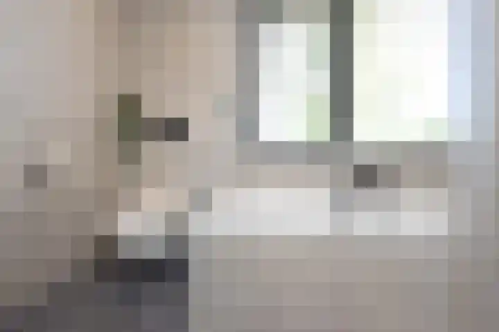 Koolzaadhof 2 Nagele thumbnail 22