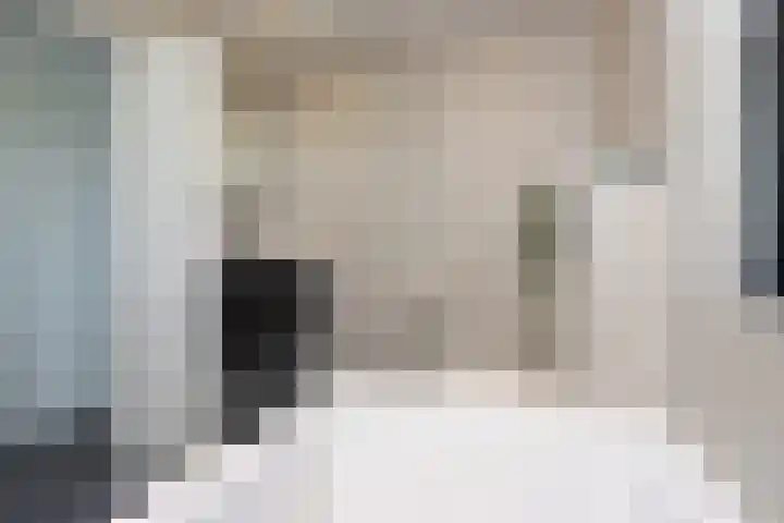 Koolzaadhof 2 Nagele thumbnail 24