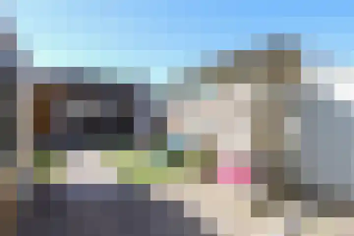 Koolzaadhof 2 Nagele thumbnail 27