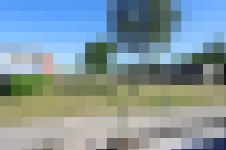 Koolzaadhof 2 Nagele thumbnail 33