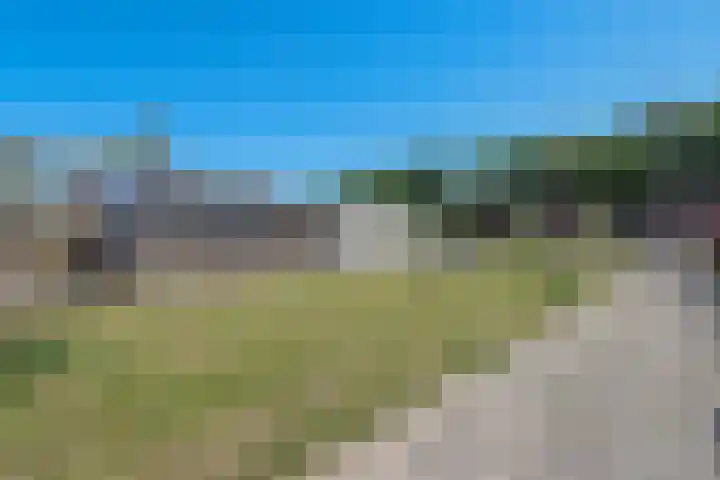 Koolzaadhof 2 Nagele thumbnail 37