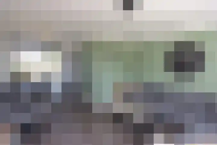 Koolzaadhof 2 Nagele thumbnail 7
