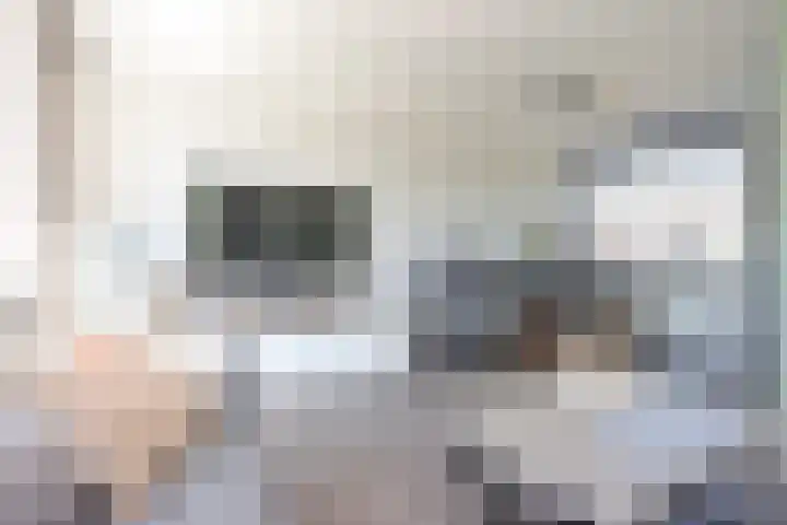 Koolzaadhof 2 Nagele thumbnail 8