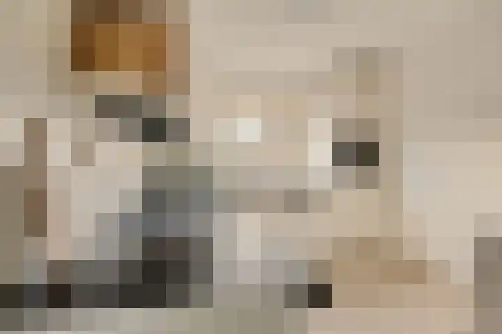 Koolzaadhof 7 Papendrecht thumbnail 15