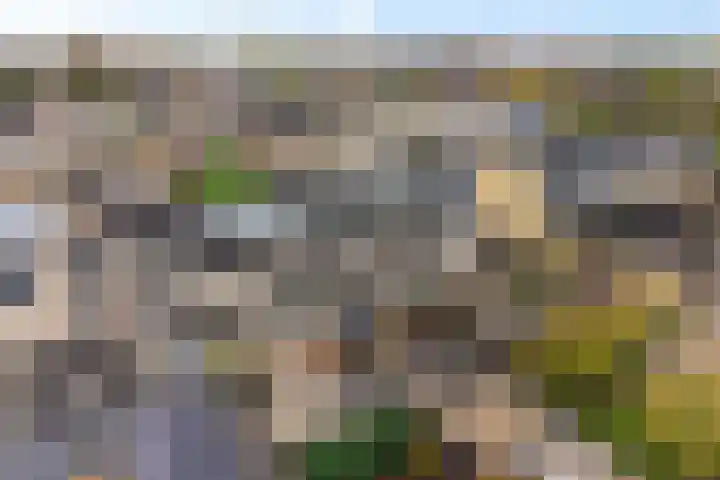 Koolzaadhof 7 Papendrecht thumbnail 24